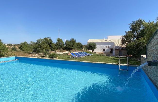 CIP V8 Gold - New!!! - Foto 30