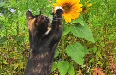 Erdhaus WEST - Ferienhof Bartel - Foto 47