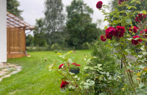 Dom całoroczny nad jeziorem Brajnickim - Photo 21