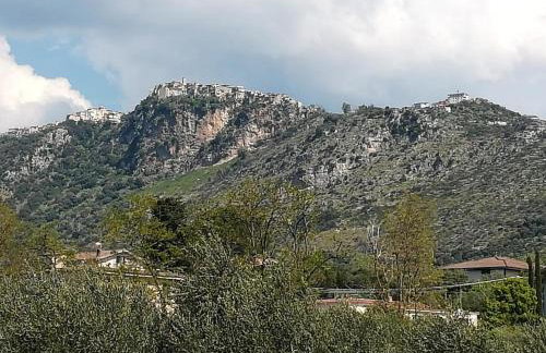 L'oasi di Alice - Foto 34