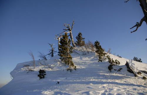 Tana Libera Tutti 2 Nature, Yourself, Love - Foto 45