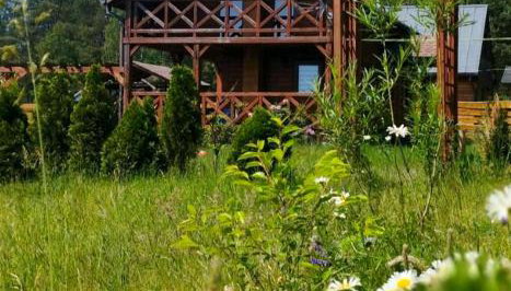 Osada nad żurawim stawem - Foto 2, Garden view