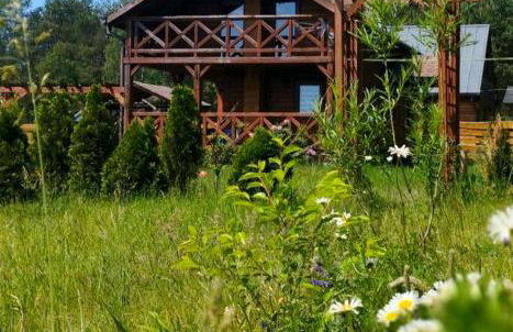 Osada nad żurawim stawem - Foto 2