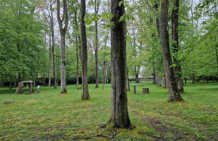 Villa Andreas - Photo 19