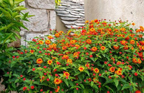 Villa Pauletta - Photo 50