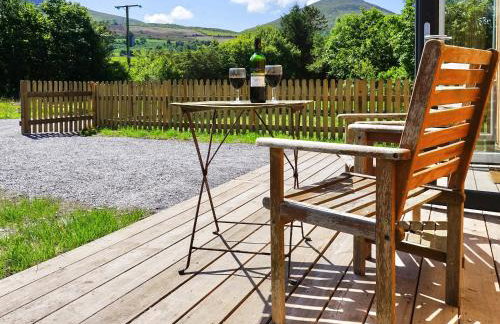 Bueno - Ukc4682 - Foto 5