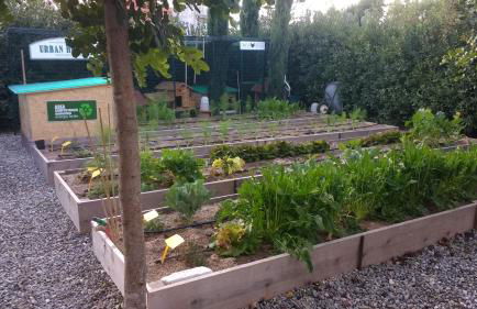 Masseria Urbana - Foto 10