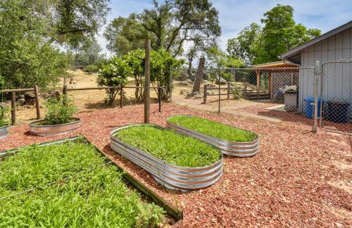 Yosemite Wellbeing Retreat on 5 Acres with Mtn Views - Photo 24