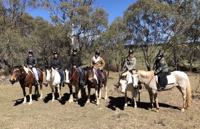 High Country Trail Rides & Farm Stay - Foto 10