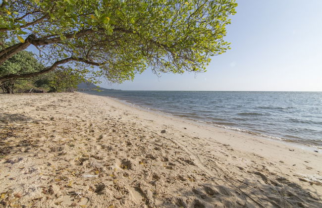 Cashew Cashew Villa - Photo 21