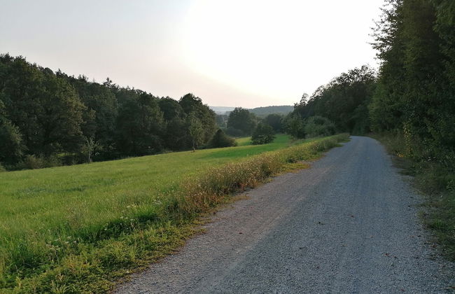 Haus Hutzelbuck - Photo 14