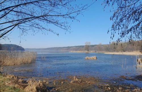 Na Starówce - Foto 28