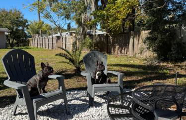 Casa Antigua - Foto 20