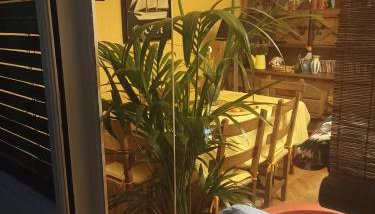 apartamento céntrico zona Marques de comillas 8 - Foto 4