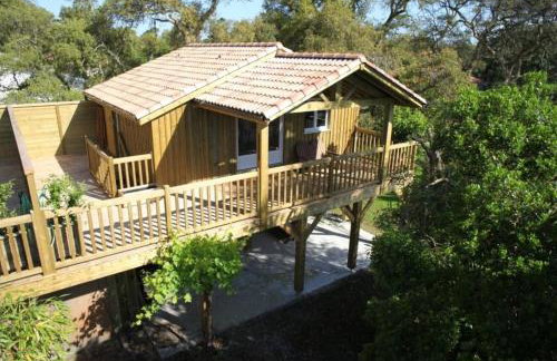 Les chats perchés 400m plage G - Foto 2