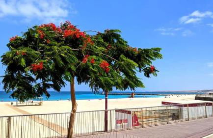 Casa La Ola Majanicho - Monthly Stays - Foto 48