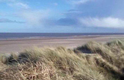 Tranquil Equestrian Escape - Sleeps 2 - Foto 10