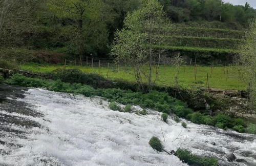 Moinho das Cavadas - Foto 29