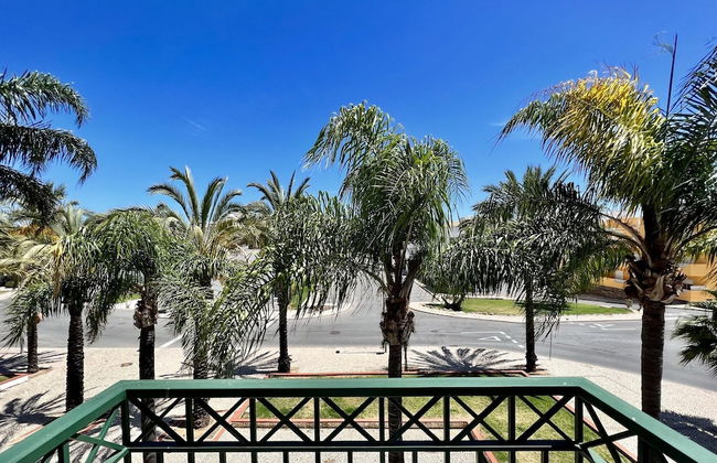 Tavira Palm Tree by Homing - Foto 1