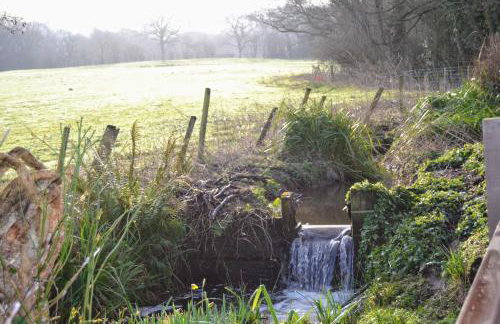 Arrowwood Self Catering (Wagtail and Nuthatch) - Foto 8