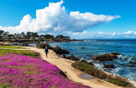 3937 Trailside Retreat home - Foto 42