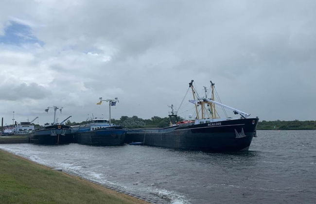 Apartment in Vrouwenpolder Near the Beach - Photo 40