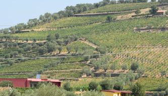 Quinta dos Padrinhos - Suites in the Heart of the Douro - Foto 4