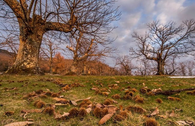 House Typical Of The Susa Valley - Photo 37