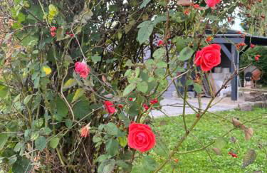 le chant de la rivière - Foto 12