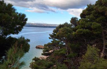 Oliva Apartments - Foto 15