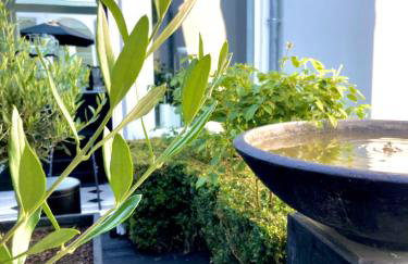 Villa Georges - La Rochelle centre - - Foto 17