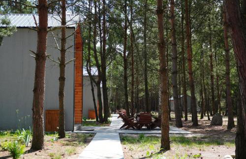 Domki SHERWOOD - Foto 38