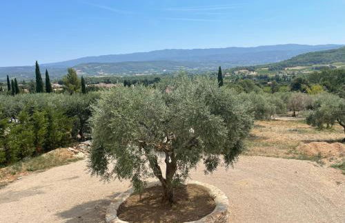 Mas de la canopée-Luberon - Foto 29
