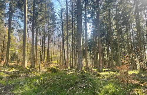 Ferienwohnung Lenzen - Photo 13