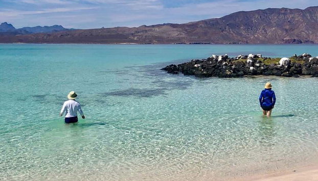 Você desfrutará de uma praia privada em uma das ilhas virgens