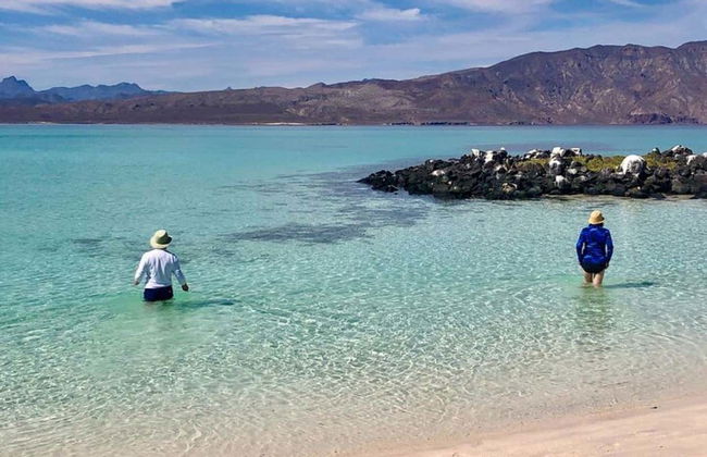 Location de bateau avec skipper à Loreto - Photo 5