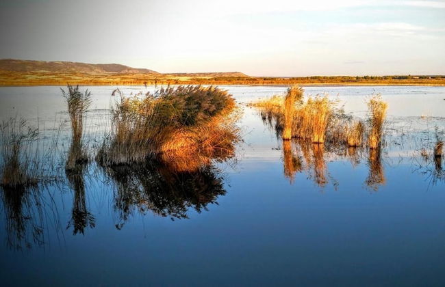 La Cañada - Foto 47