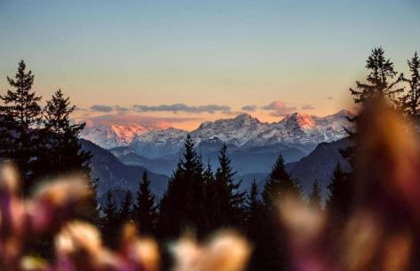 Landhaus Gastager - Foto 54