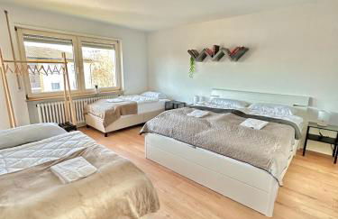 Basel & Frankreich nah - Airport I Parking I WLAN - Foto 5