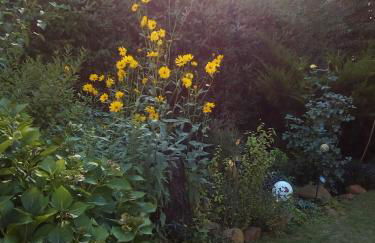 Ruhe geniessen bei Kulbes - Foto 27