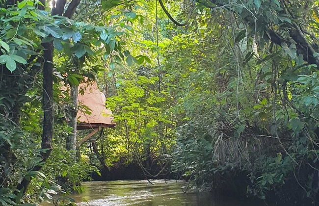 Pousada Pouso das Araras - Foto 3