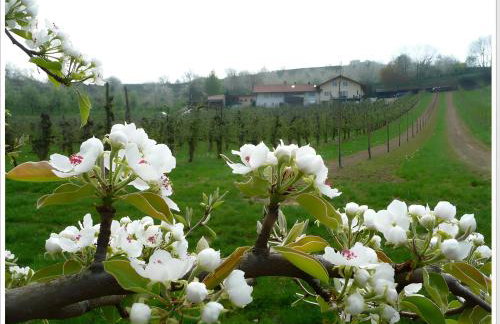 Weingut Ringwald - Foto 18