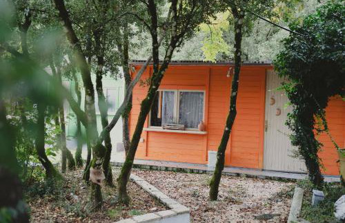 Country House - Foto 19