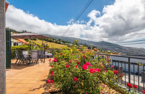 Linda Paisagem - Foto 44