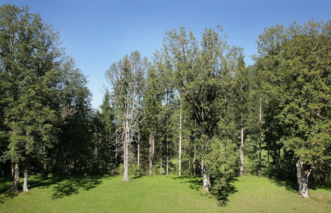 Schloss Fischhorn am See - Foto 59