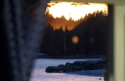 Coastal Camping Cabin with Wood-Burning Stove on Whale Island, Alaska - Foto 11