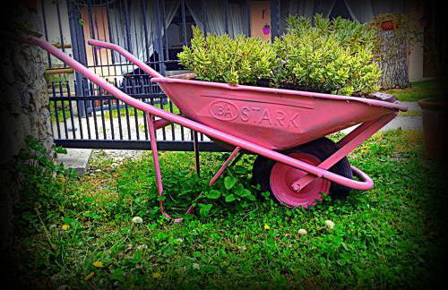 Agriturismo Borgovecchio - Foto 21