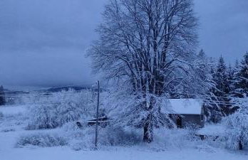 Three Little Birds Suite - Foto 50