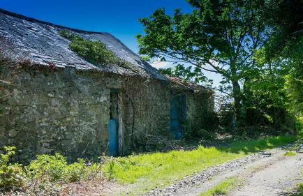 Glan Gors Felin - Foto 72