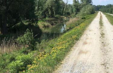 Appartementhaus Stangl - Foto 23